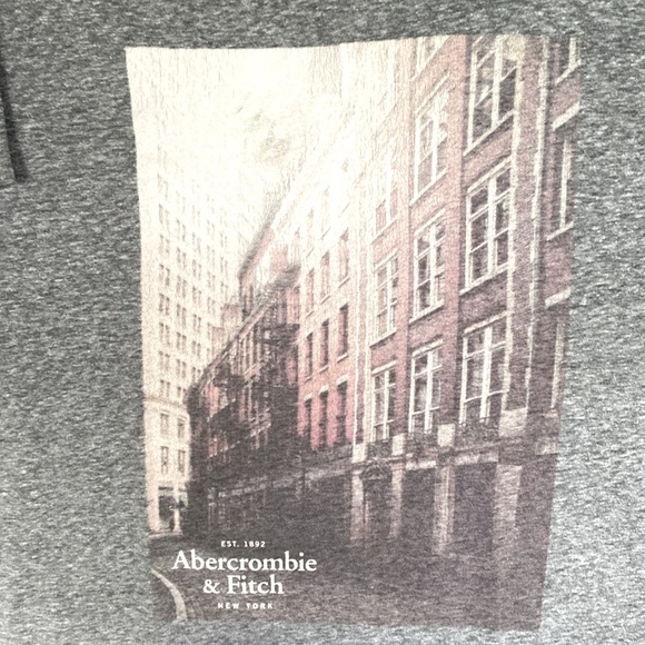 Gently Worn Abercrombie & Fitch Men’s Size Small Beautiful Graphic Gray Color - Picture 5 of 10